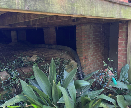 7 Telltale Signs Your Crawl Space Needs Repair - Superior Foundation ...
